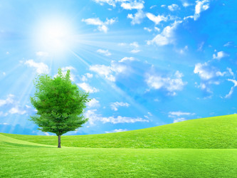 Similar image 575487