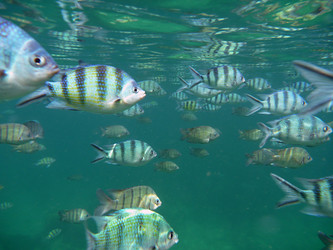 Similar image 575601