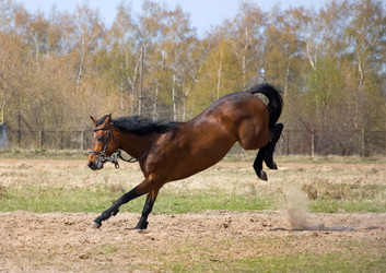 Similar image 575628