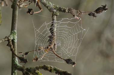 Similar image 575633