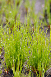 Similar image 575635