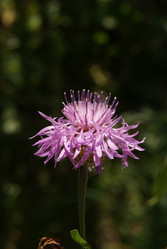 Similar image 575641