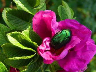 Similar image 575644