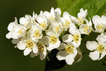 Similar image 575645