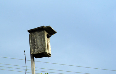 Similar image 575647