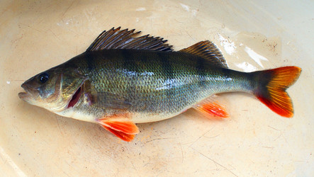 Similar image 575650