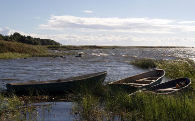 Similar image 575651