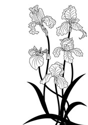 Similar image 575670