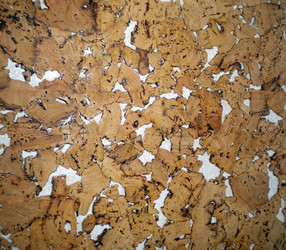 Similar image 575688