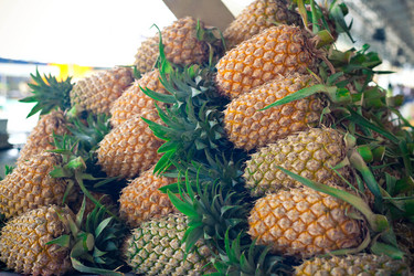 Similar image 575704