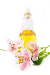 Similar image 576045