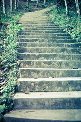 Similar image 576062