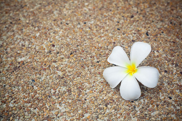 Similar image 576202