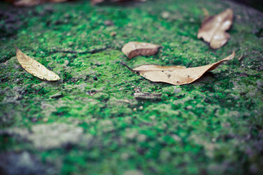 Similar image 576265