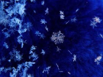 Similar image 576884