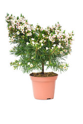 Similar image 577021