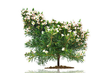 Similar image 577022