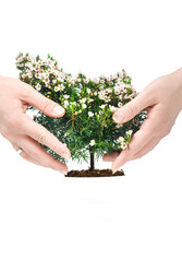 Similar image 577023