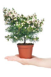 Similar image 577025