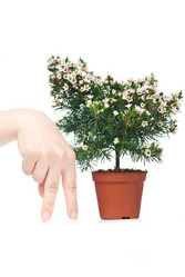 Similar image 577026