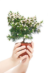 Similar image 577027