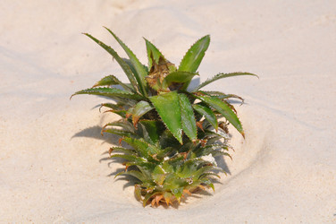 Similar image 577084