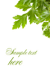 Similar image 577197