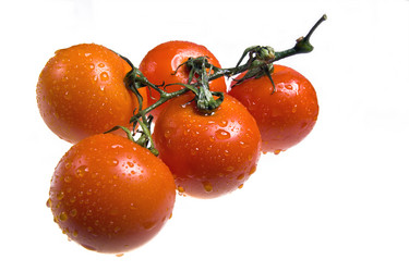 Similar image 577308