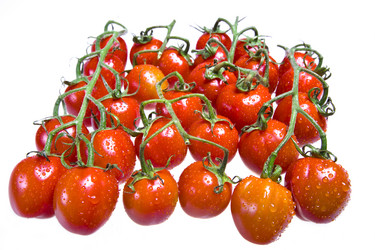 Similar image 577310