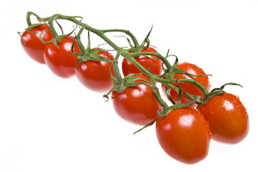 Similar image 577311