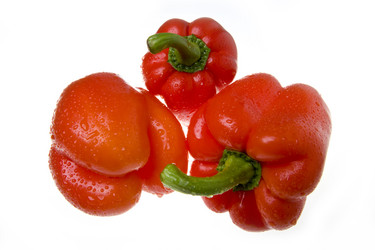 Similar image 577326