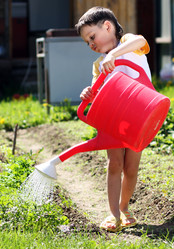 Similar image 577329