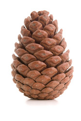 Similar image 577330