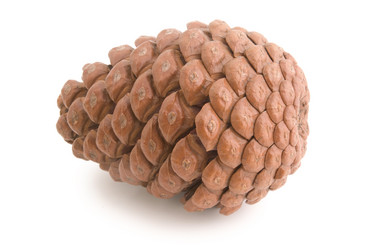 Similar image 577335