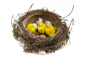 Similar image 577364