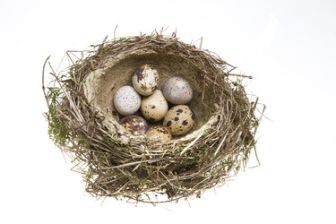 Similar image 577369