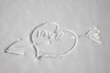 Similar image 577423