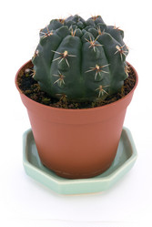 Similar image 577503