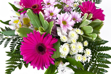 Similar image 577527