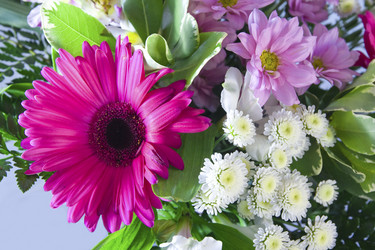 Similar image 577530