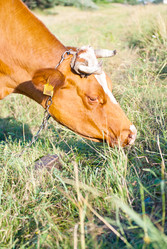 Similar image 577578