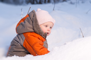 Similar image 577588