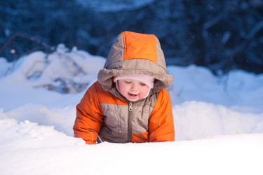 Similar image 577590