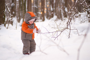 Similar image 577600