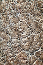 Similar image 577617