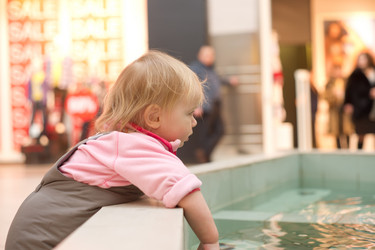 Similar image 577646