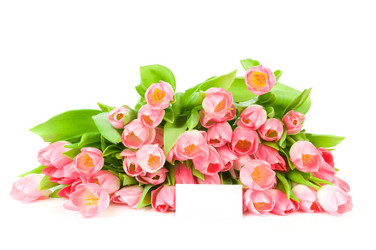 Similar image 577681