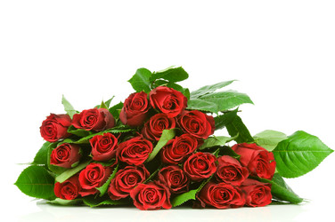 Similar image 577685