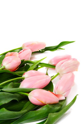 Similar image 577705