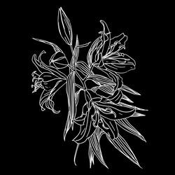 Similar image 577892